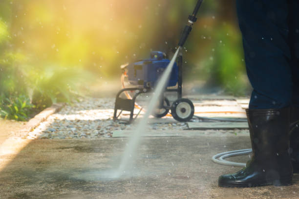 Best Fence Cleaning  in Algona, IA
